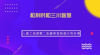 兩家儀器儀表企業榮獲工信部服務型制造示范稱號，引領信息系統集成服務新篇章